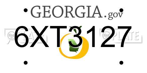 6XT3127 Georgia License Plate