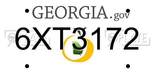 6XT3172 Georgia License Plate