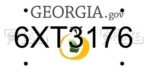 6XT3176 Georgia License Plate