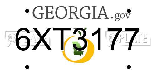 6XT3177 Georgia License Plate
