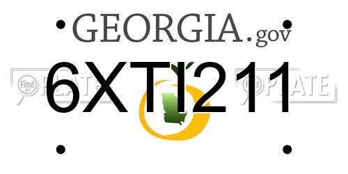 6XTI211 Georgia License Plate