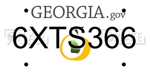 6XTS366 Georgia License Plate