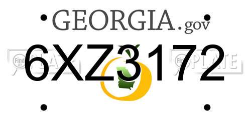 6XZ3172 Georgia License Plate