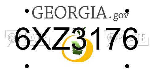 6XZ3176 Georgia License Plate