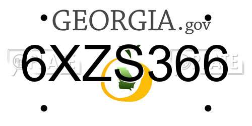 6XZS366 Georgia License Plate