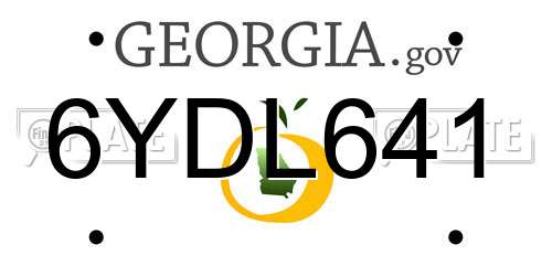 6YDL641 Georgia License Plate
