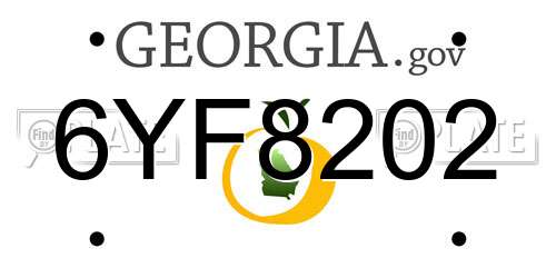 6YF8202 Georgia License Plate