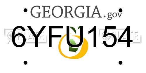 6YFU154 Georgia License Plate