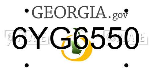 6YG6550 Georgia License Plate