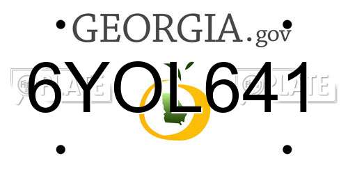 6YOL641 Georgia License Plate