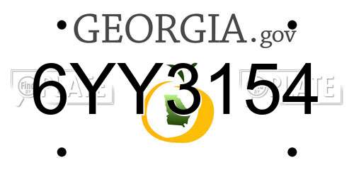 6YY3154 Georgia License Plate