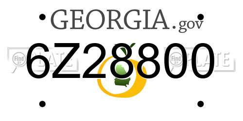 6Z28800 Georgia License Plate