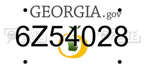 6Z54028 Georgia License Plate