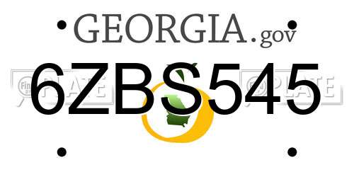 6ZBS545 Georgia License Plate