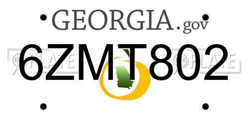 6ZMT802 Georgia License Plate
