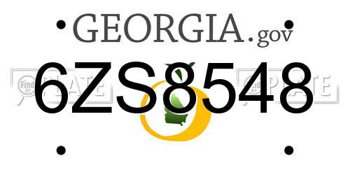 6ZS8548 Georgia License Plate