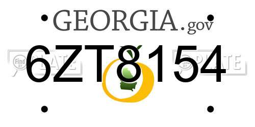 6ZT8154 Georgia License Plate