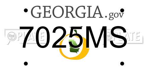 7025MS Georgia License Plate