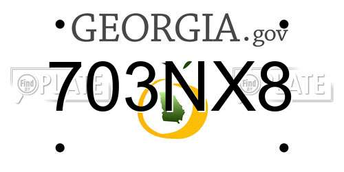 703NX8 Georgia License Plate