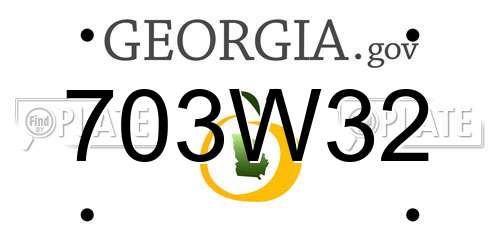 703W32 Georgia License Plate