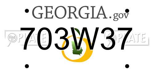 703W37 Georgia License Plate