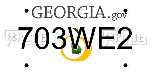 703WE2 Georgia License Plate