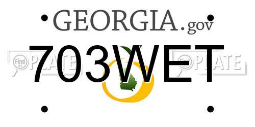 703WET Georgia License Plate