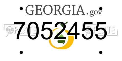 7052455 Georgia License Plate