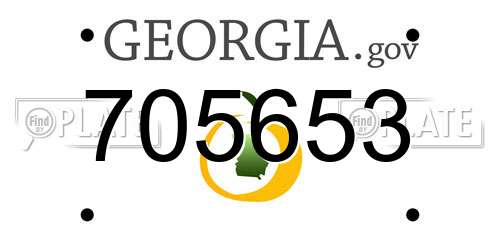 705653 Georgia License Plate