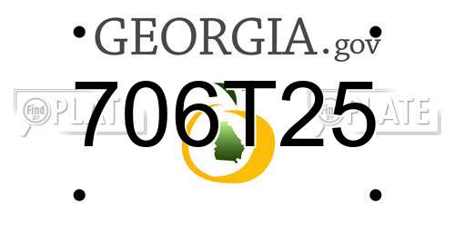 706T25 Georgia License Plate