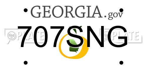 707SNG Georgia License Plate