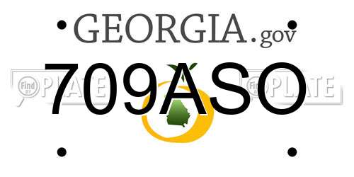 709ASO Georgia License Plate