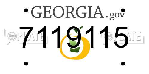 7119115 Georgia License Plate