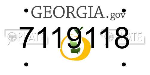 7119118 Georgia License Plate
