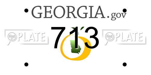 713 Georgia License Plate