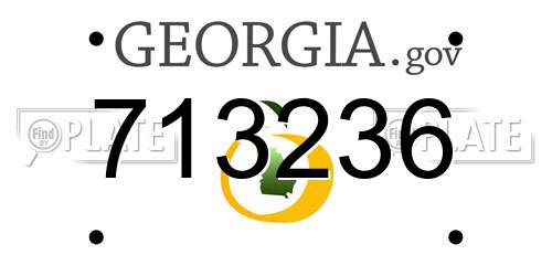 713236 Georgia License Plate