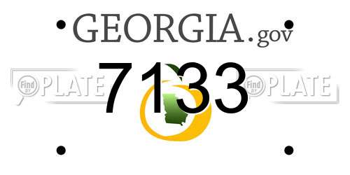 7133 Georgia License Plate