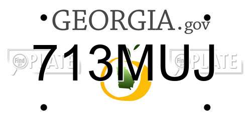 713MUJ Georgia License Plate