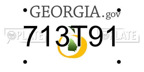713T91 Georgia License Plate