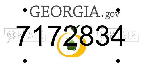 7172834 Georgia License Plate