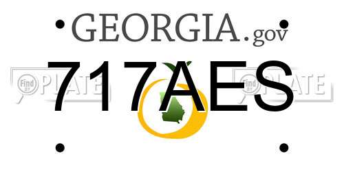 717AES Georgia License Plate