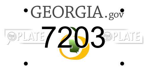 7203 Georgia License Plate