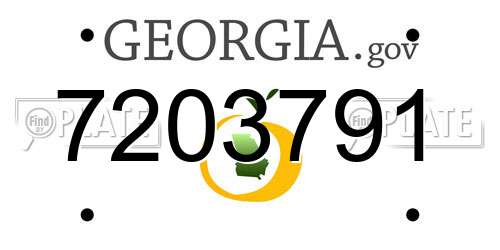 7203791 Georgia License Plate