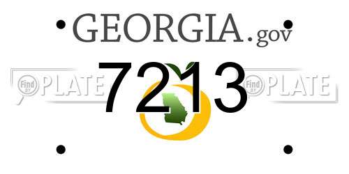 7213 Georgia License Plate
