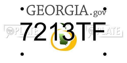 7213TF Georgia License Plate