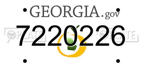 7220226 Georgia License Plate