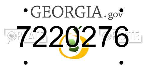 7220276 Georgia License Plate