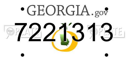 7221313 Georgia License Plate