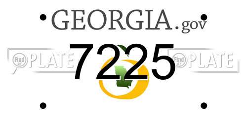7225 Georgia License Plate