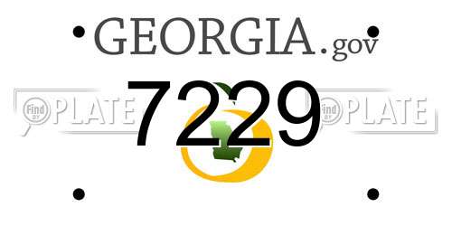 7229 Georgia License Plate